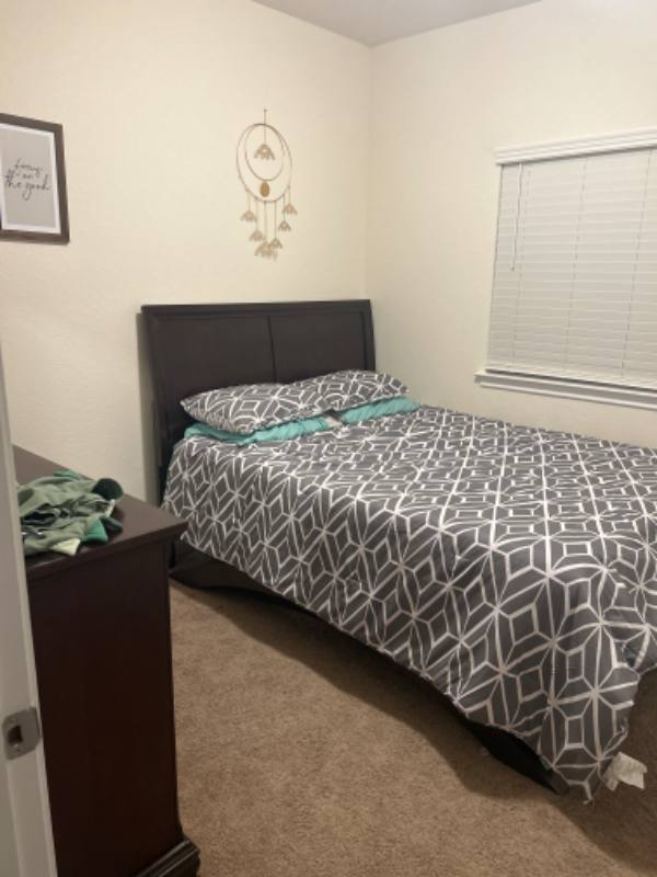 House for rent at 324 Arabian Colt Dr, Georgetown, TX 78626