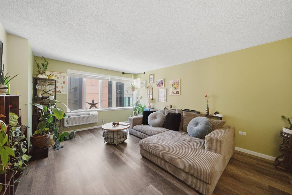 Condo for rent at 801 S Plymouth Court #713, Chicago, IL 60605