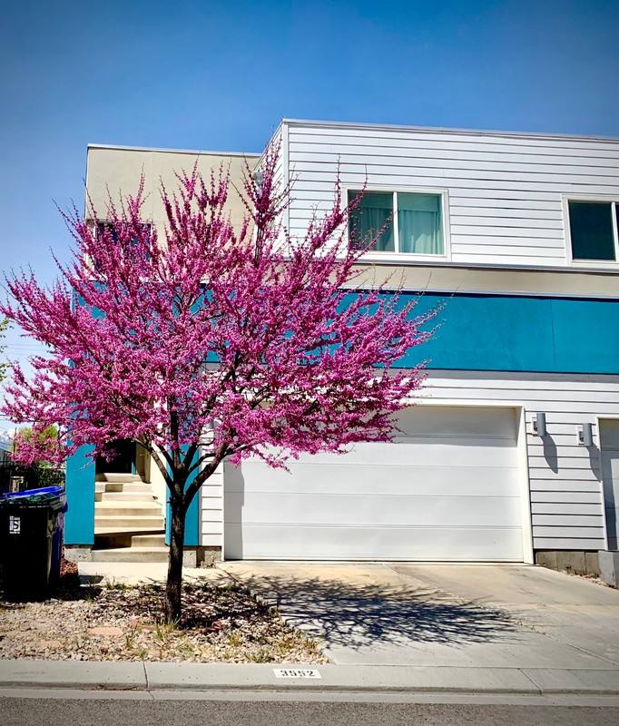 Townhouse for rent at 3552 S Terra Sol Dr, Salt Lake City, UT 84115