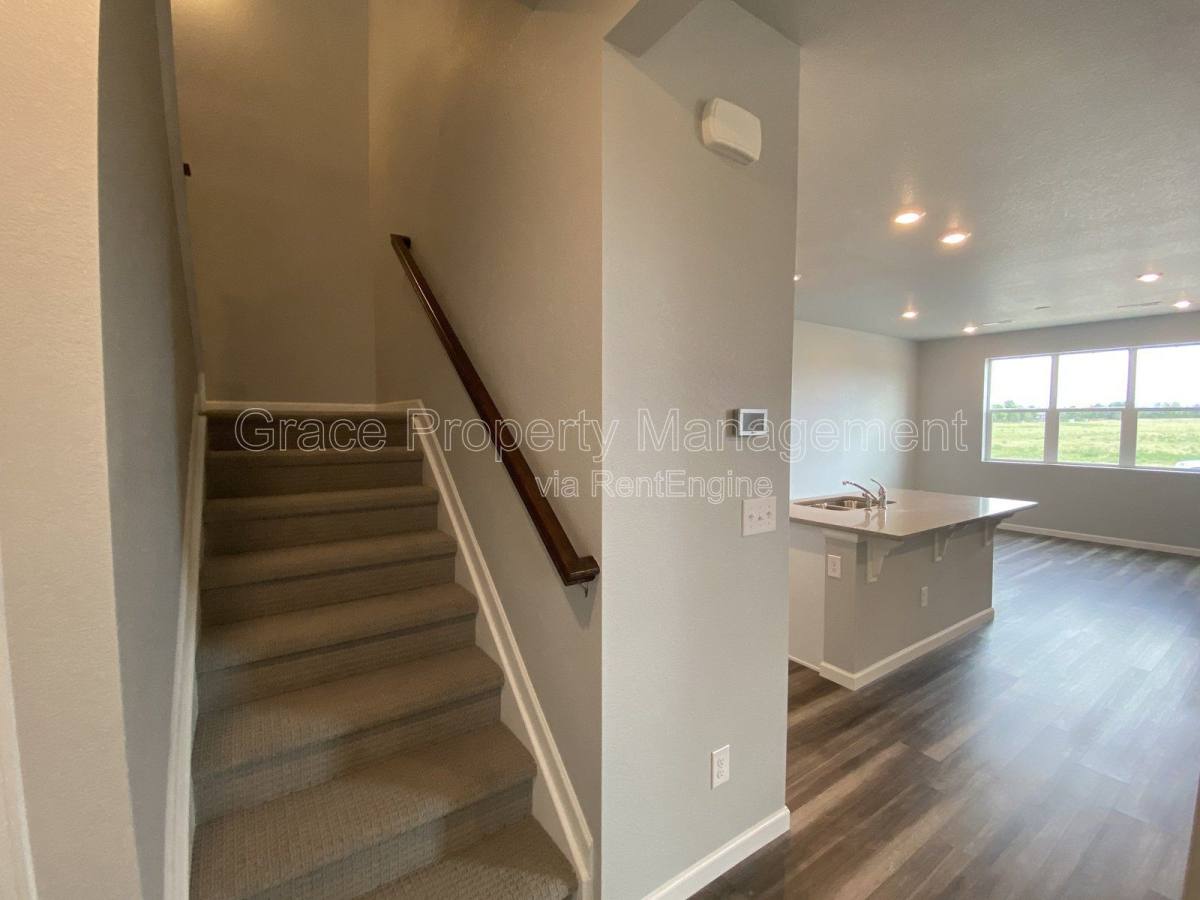 191 Ambrose St, Erie, CO 80516 - Townhouse for Rent - Image 6