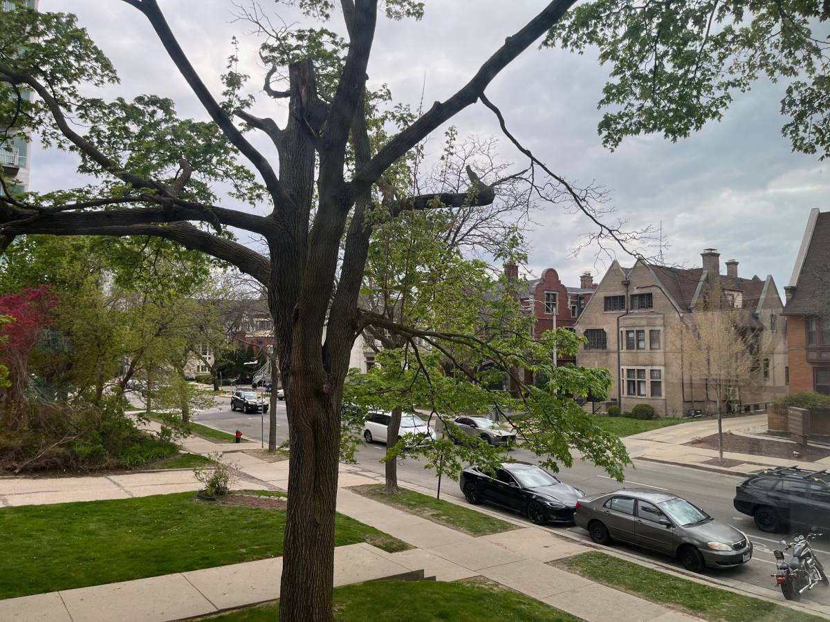 Apartment for rent at 1560 N Prospect #204, Milwaukee, WI 53202
