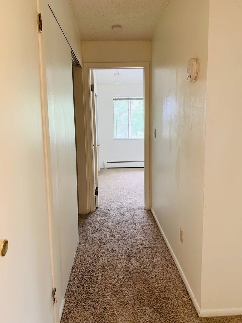 Apartment for rent at 2897 Greenland Dr, Loveland, CO 80538