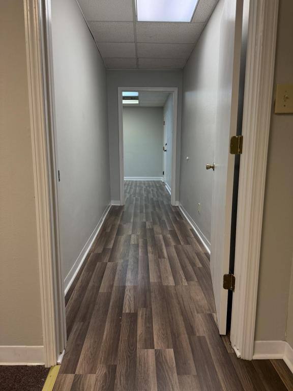 Apartment for rent at 4323 Division St, Metairie, LA 70002