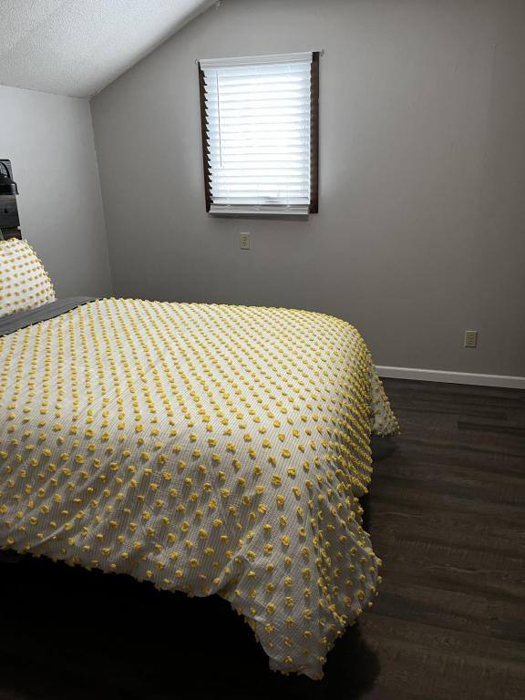House for rent at 1023 9th Ave, Brookings, SD 57006