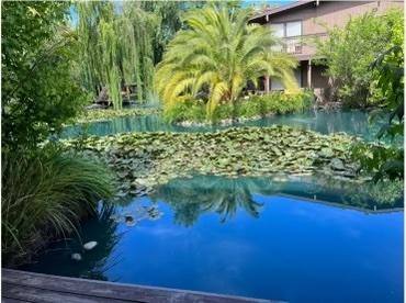 Apartment for rent at 2422 Larkspur Lane #221, Sacramento, CA 95825