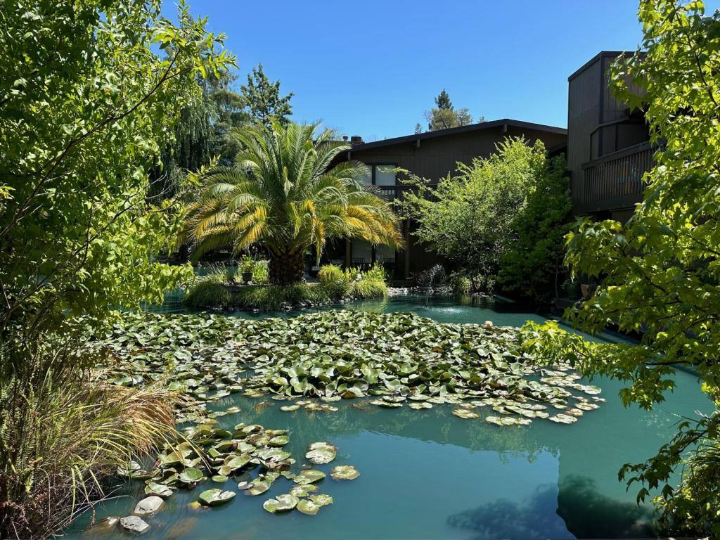 Apartment for rent at 2422 Larkspur Lane #221, Sacramento, CA 95825