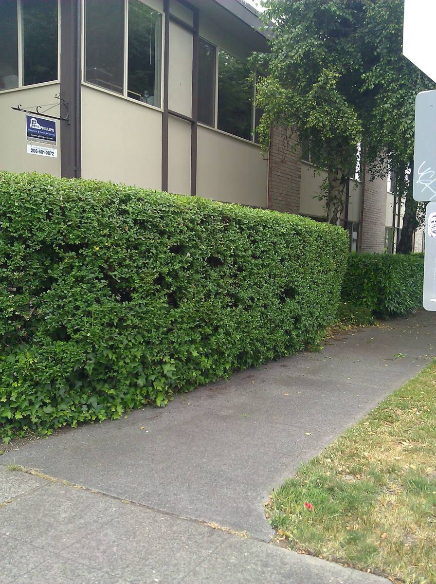 Apartment for rent at 6113 Roosevelt Way NE, Seattle, WA 98115