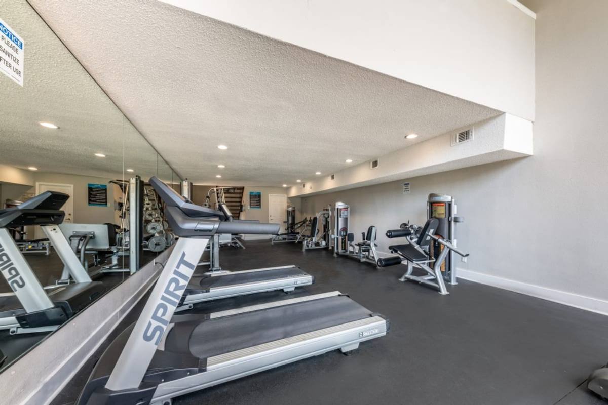 Apartment for rent at 1845 Burton Dr, Austin, TX 78741