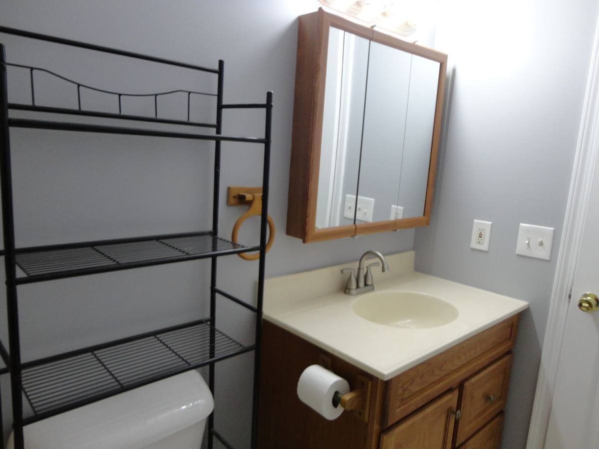 House for rent at 111 Gray Squirrel Lane, Seymour, TN 37865