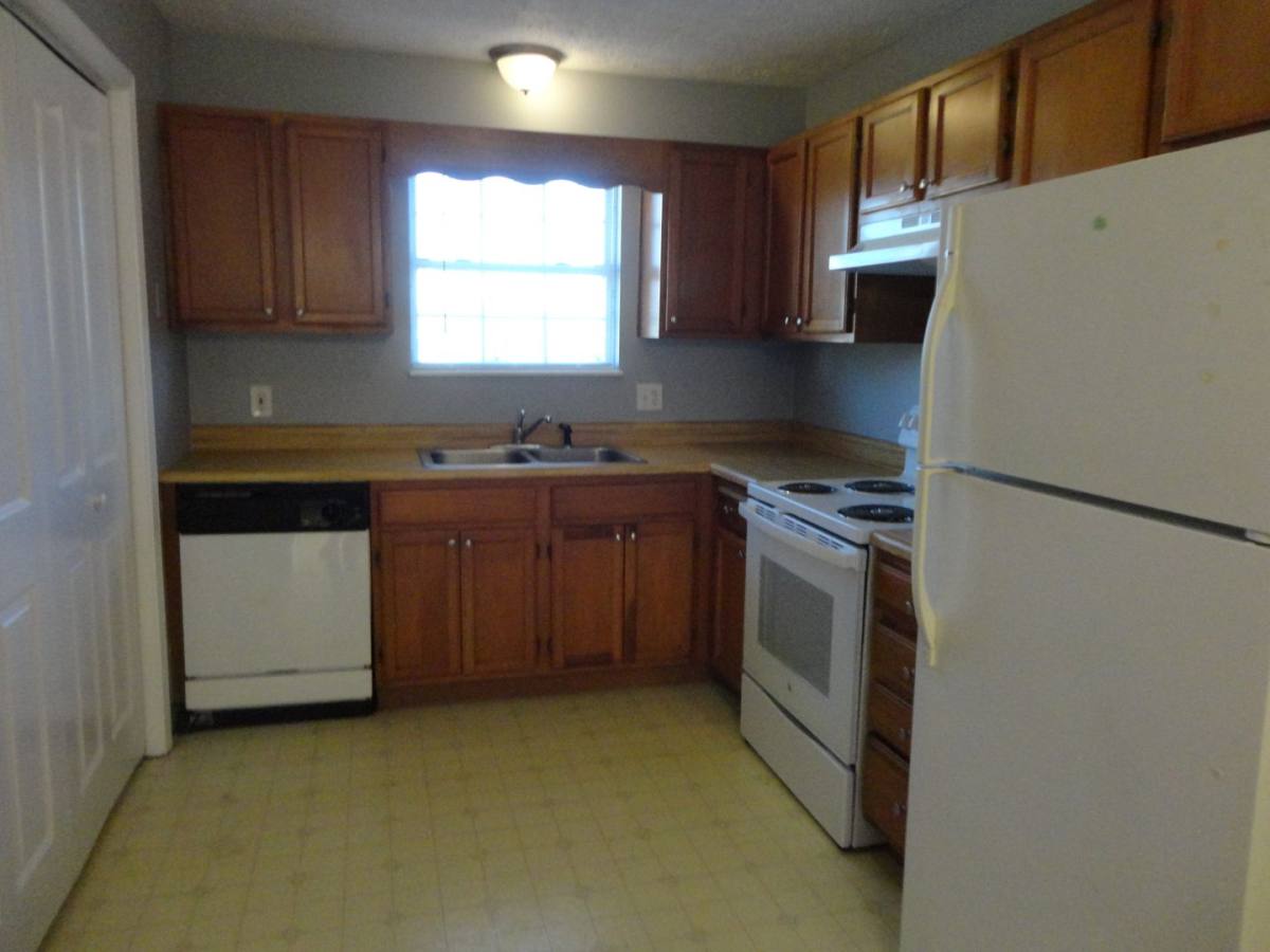 House for rent at 111 Gray Squirrel Lane, Seymour, TN 37865