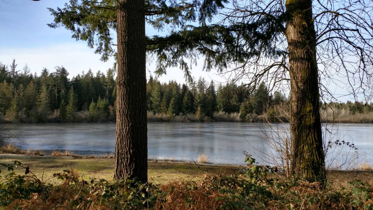 Apartment for rent at 22235 196th Ave SE, Renton, WA 98058
