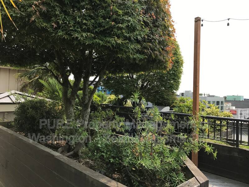 House for rent at 1125 E Olive St #312, Seattle, WA 98122