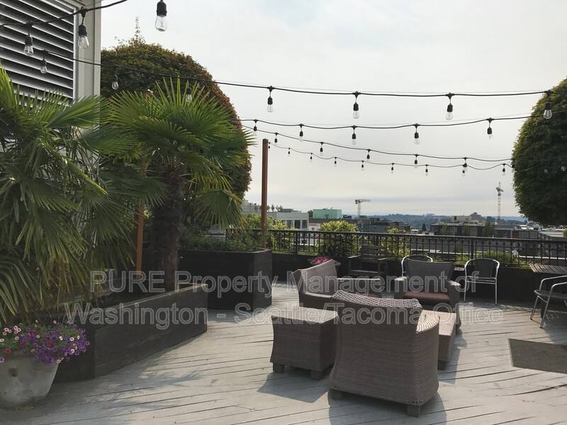 House for rent at 1125 E Olive St #312, Seattle, WA 98122