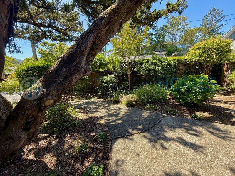 Apartment for rent at 128 McAllister Ave Kentfield, Greenbrae, CA 94904
