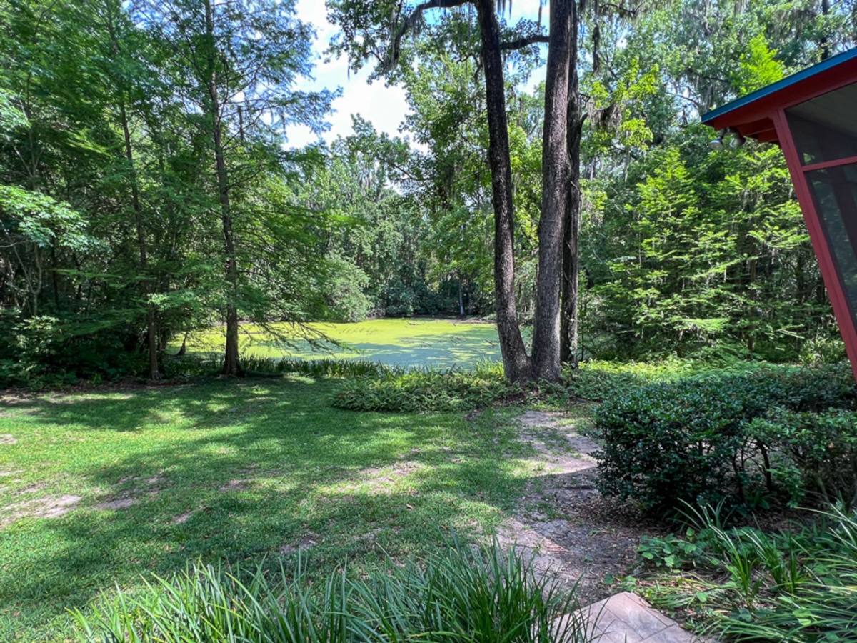 House for rent at 411 NW 26th St, Gainesville, FL 32607
