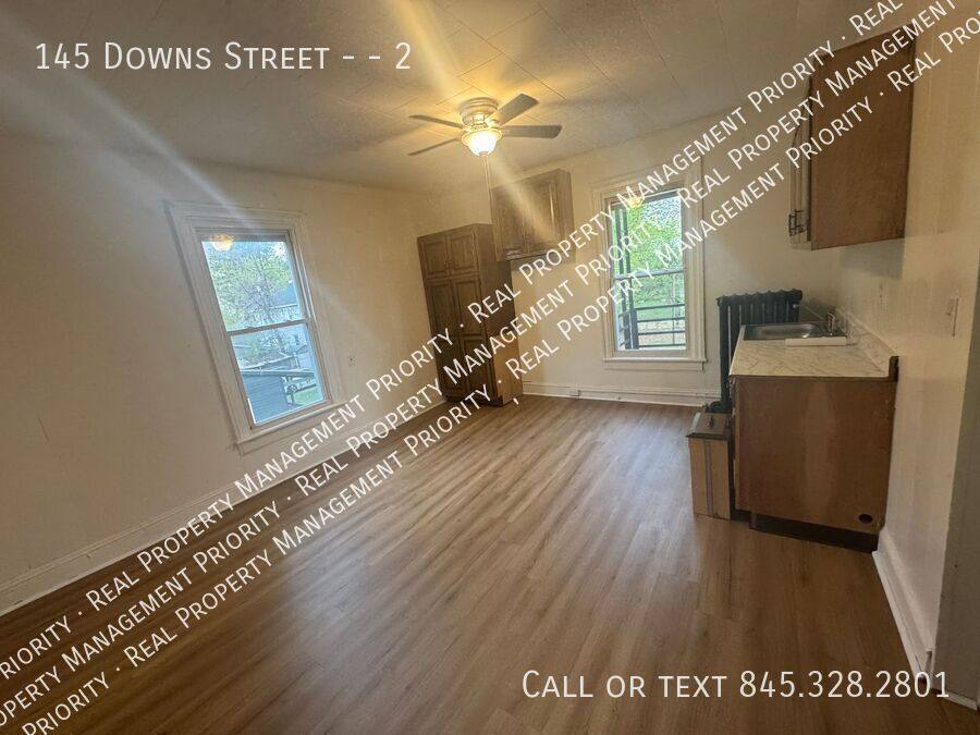 Apartment for rent at 145 Downs St #2, Kingston, NY 12401