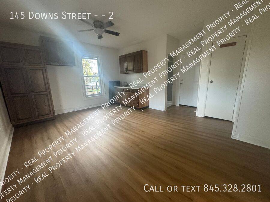 Apartment for rent at 145 Downs St #2, Kingston, NY 12401