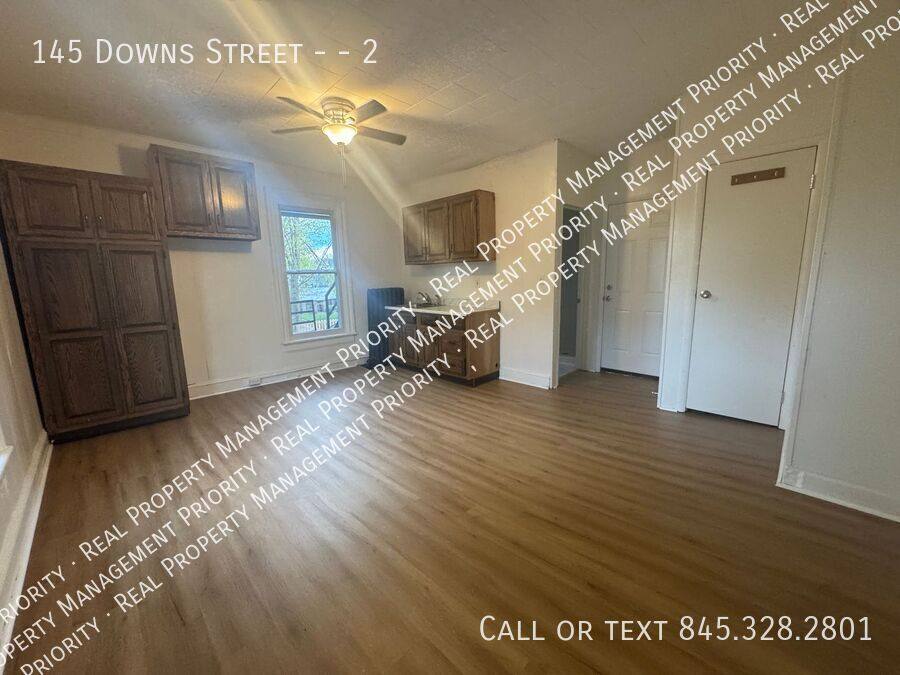 Apartment for rent at 145 Downs St #2, Kingston, NY 12401