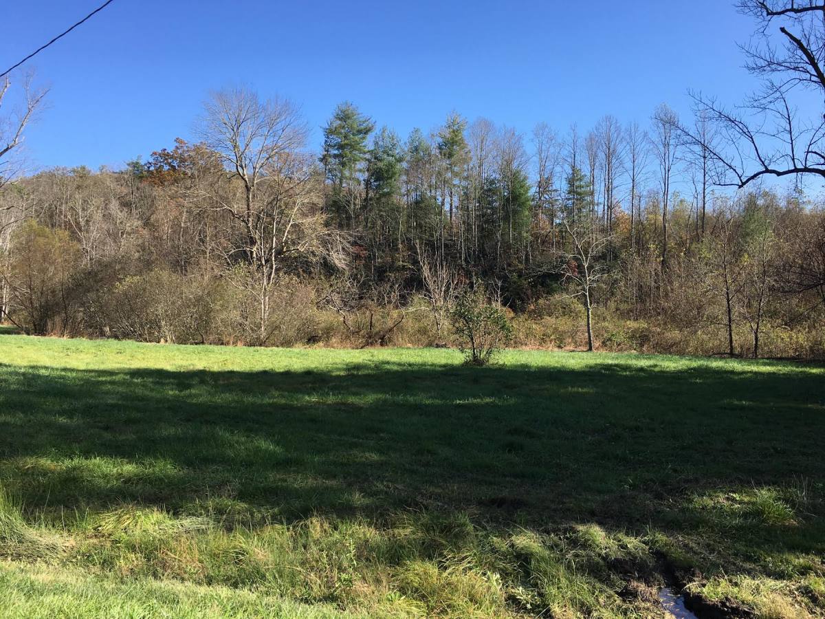 House for rent at 4568 Old Clear Creek Rd, Hendersonville, NC 28792