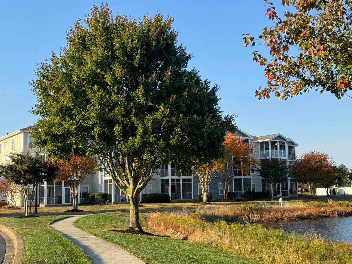 Apartment for rent at 33106 N Village Loop #VILLAGE of 5 Points, Lewes, DE 19958