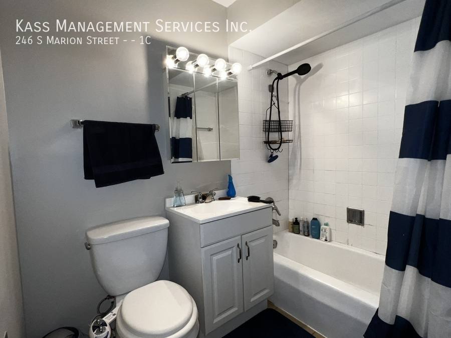 Apartment for rent at 246 S Marion St #1C, Oak Park, IL 60302