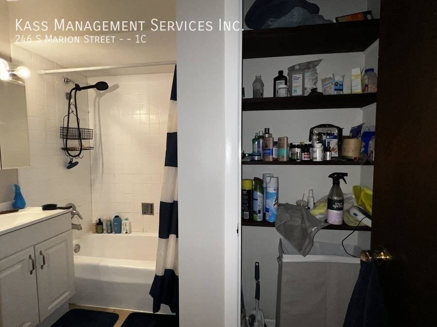 Apartment for rent at 246 S Marion St #1C, Oak Park, IL 60302