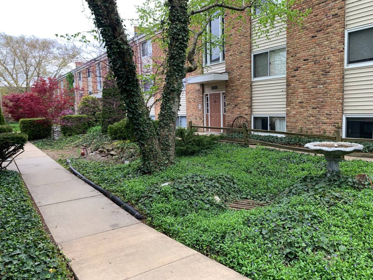 Apartment for rent at 1402 N McKinley Ave, Champaign, IL 61821