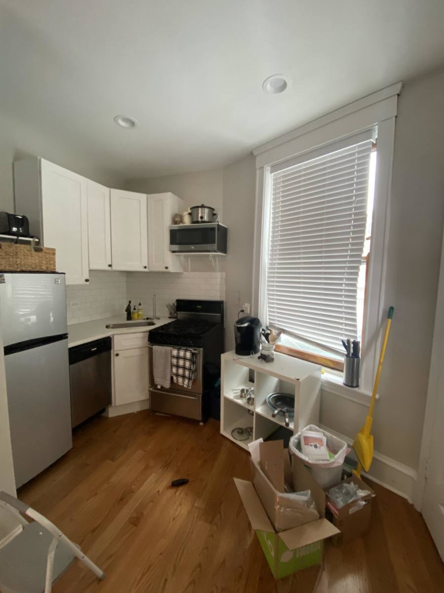 Apartment for rent at 1008 W Altgeld #1, Chicago, IL 60614
