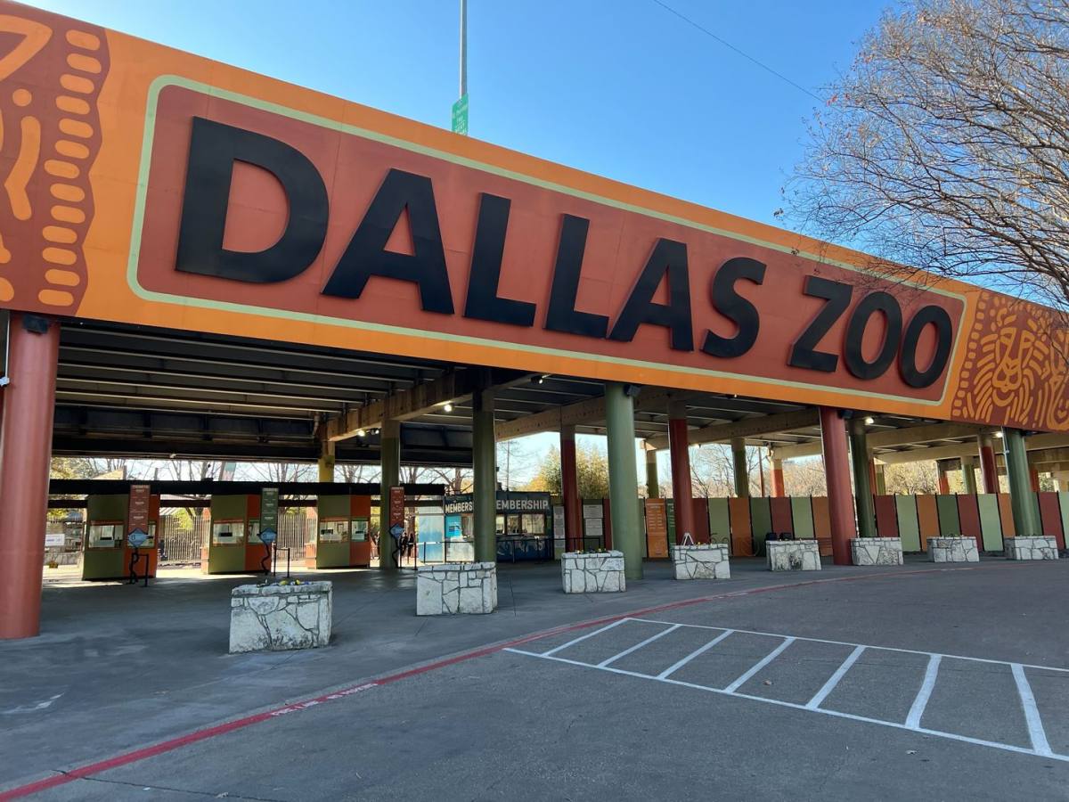 Apartment for rent at 308 E 8th St #102, Dallas, TX 75203