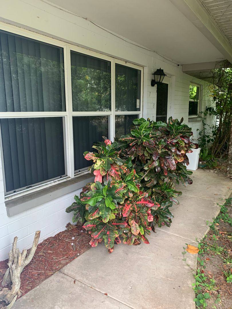 House for rent at 718 Jane Ave, New Smyrna Beach, FL 32168