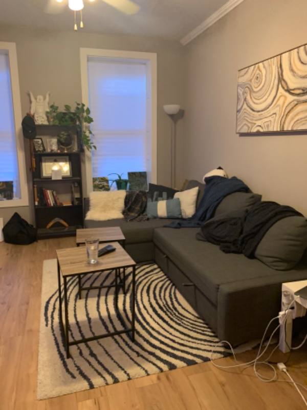 Apartment for rent at 1512 N Greenview Ave #1G, Chicago, IL 60642