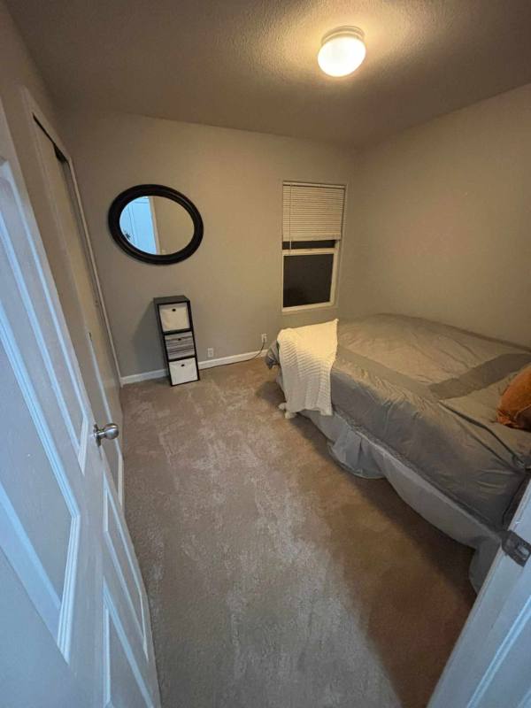 House for rent at 1143 White Stone Way, Fountain, CO 80817