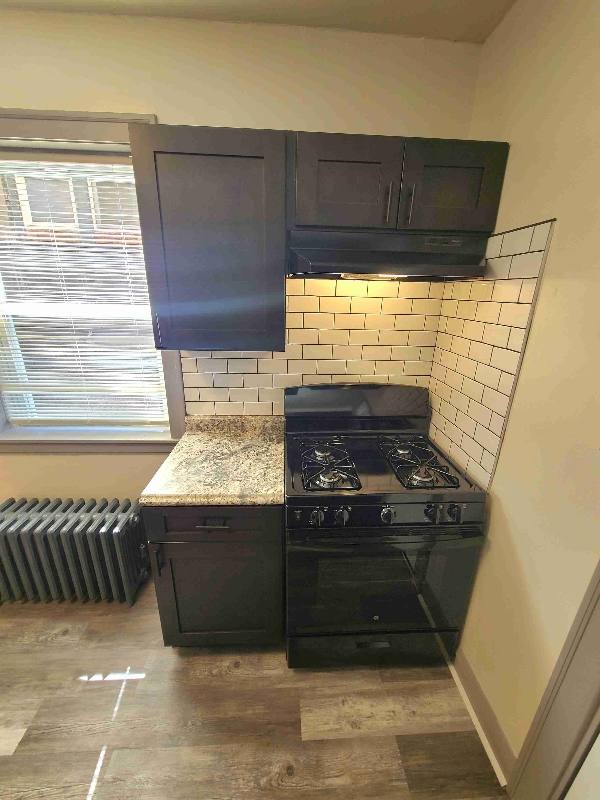 Apartment for rent at 834 N Massasoit Ave #1, Chicago, IL 60651