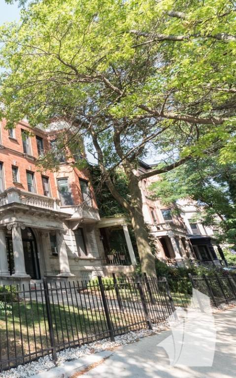 Apartment for rent at 854 W George St #1, Chicago, IL 60657