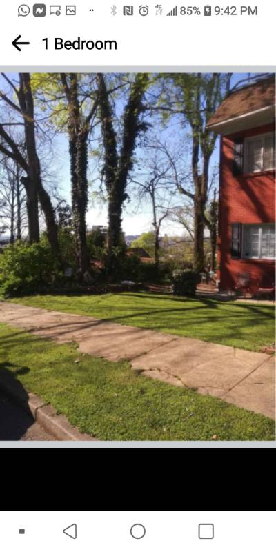 Apartment for rent at 2410 Arlington Crescent, Birmingham, AL 35205