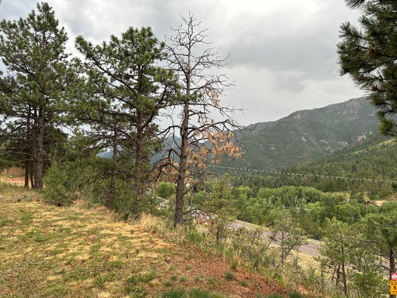 Apartment for rent at 8220 W Highway 24 #1, Cascade, CO 80809