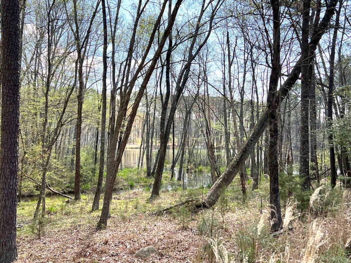 House for rent at 818 Country Club Dr, Gasburg, VA 23857