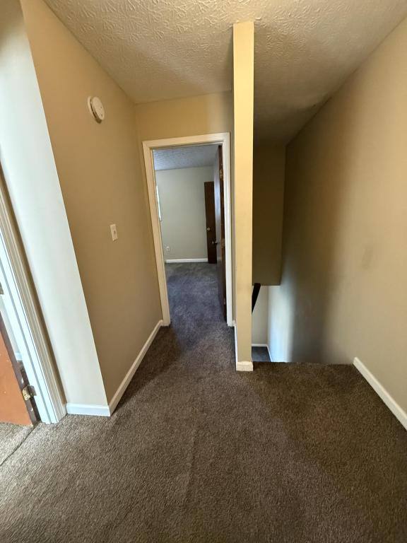 House for rent at 1238 Clear Ridge, Radcliff, KY 40160