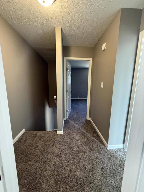 House for rent at 1240 Clear Ridge, Radcliff, KY 40160