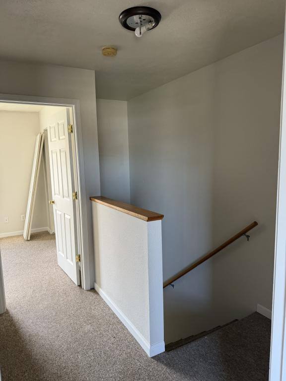 Apartment for rent at 500 S Washington St #D, Carbondale, IL 62901