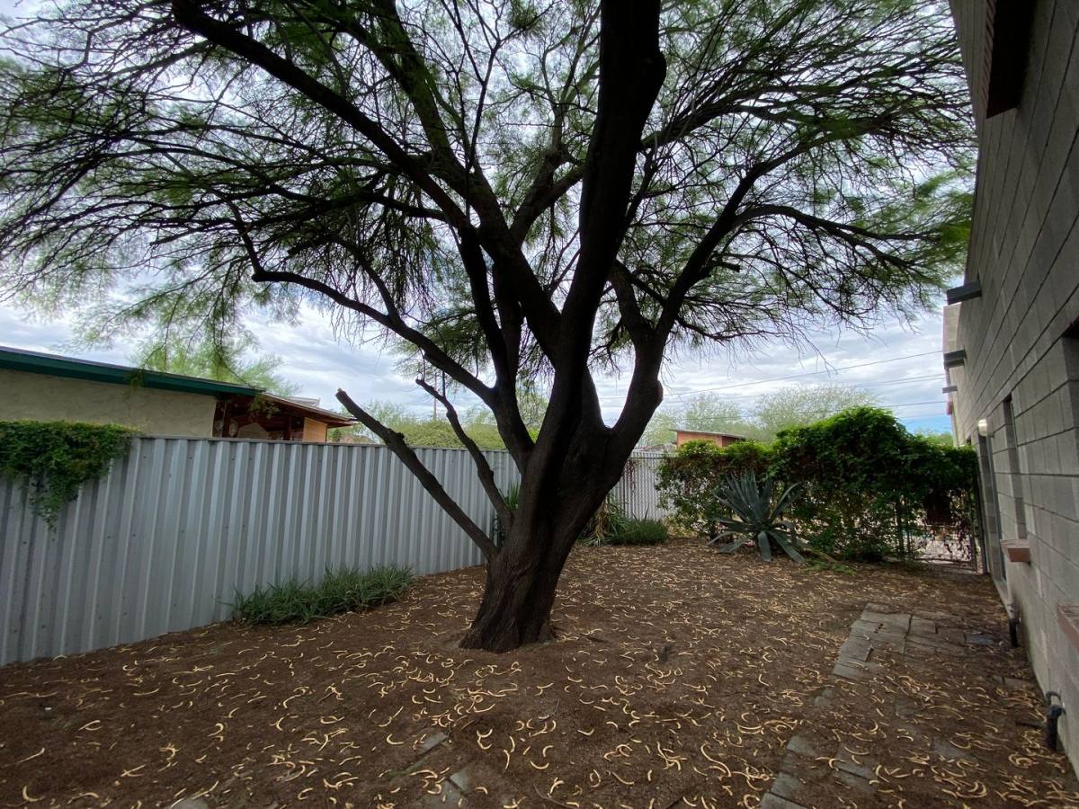 Apartment for rent at 1250 E Manlove St, Tucson, AZ 85719