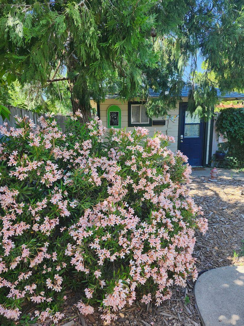 Condo for rent at 5533 Clark Ave, Carmichael, CA 95608