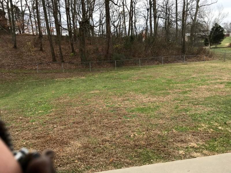 House for rent at 1017 Heatherwood Rd, Pleasant View, TN 37146