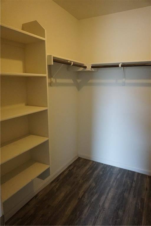 House for rent at 351 Musgrav, Kyle, TX 78640