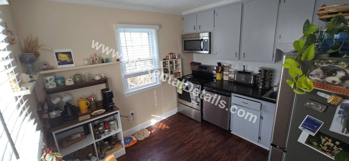 House for rent at 41 Lennox St, Asheville, NC 28801