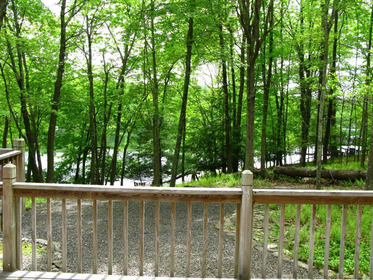 House for rent at 392 Hallowood Dr, East Stroudsburg, PA 18302
