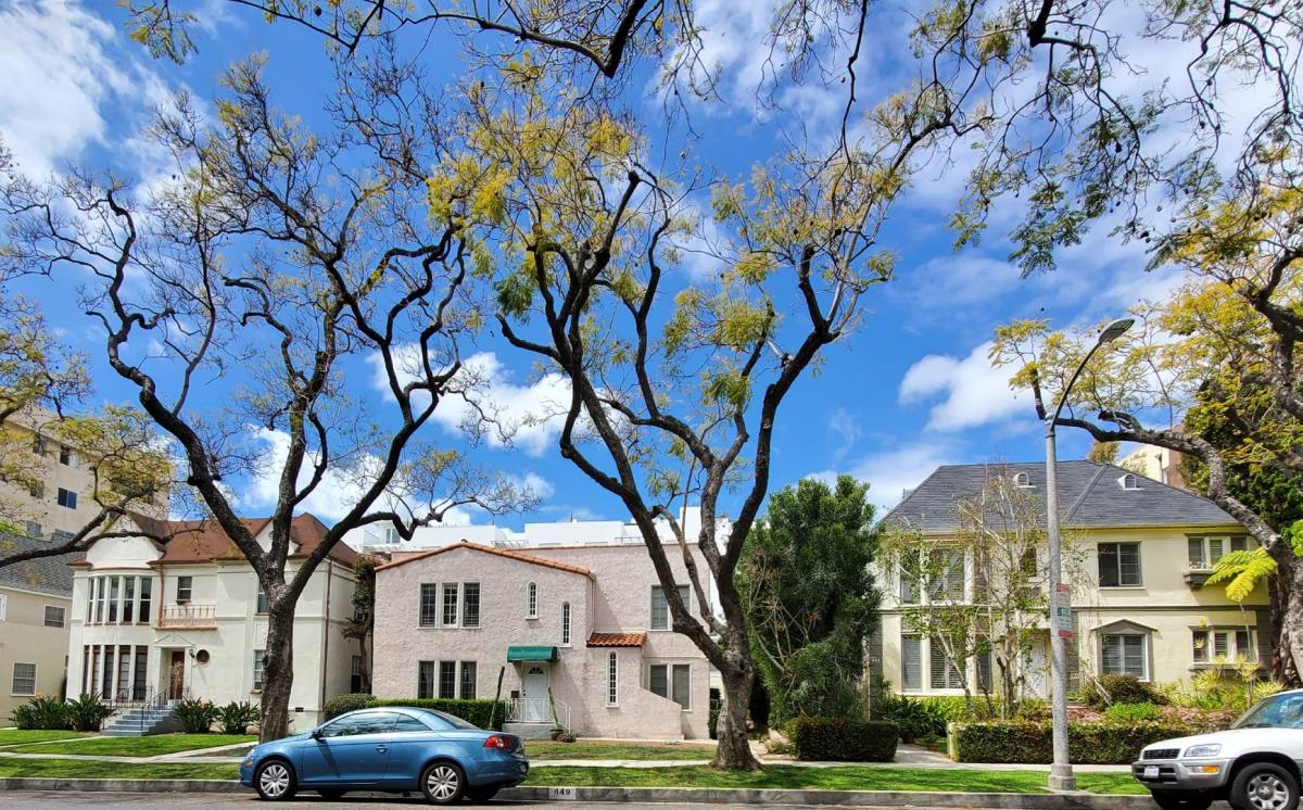 Apartment for rent at 449 N Oakhurst Dr, Beverly Hills, CA 90210