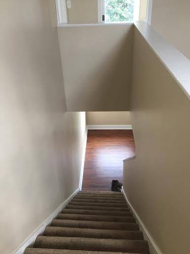 Apartment for rent at 853 Beech Ave, Pittsburgh, PA 15233