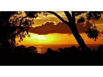 Apartment for rent at 515 Red Rose Lane, Santa Barbara, CA 93109