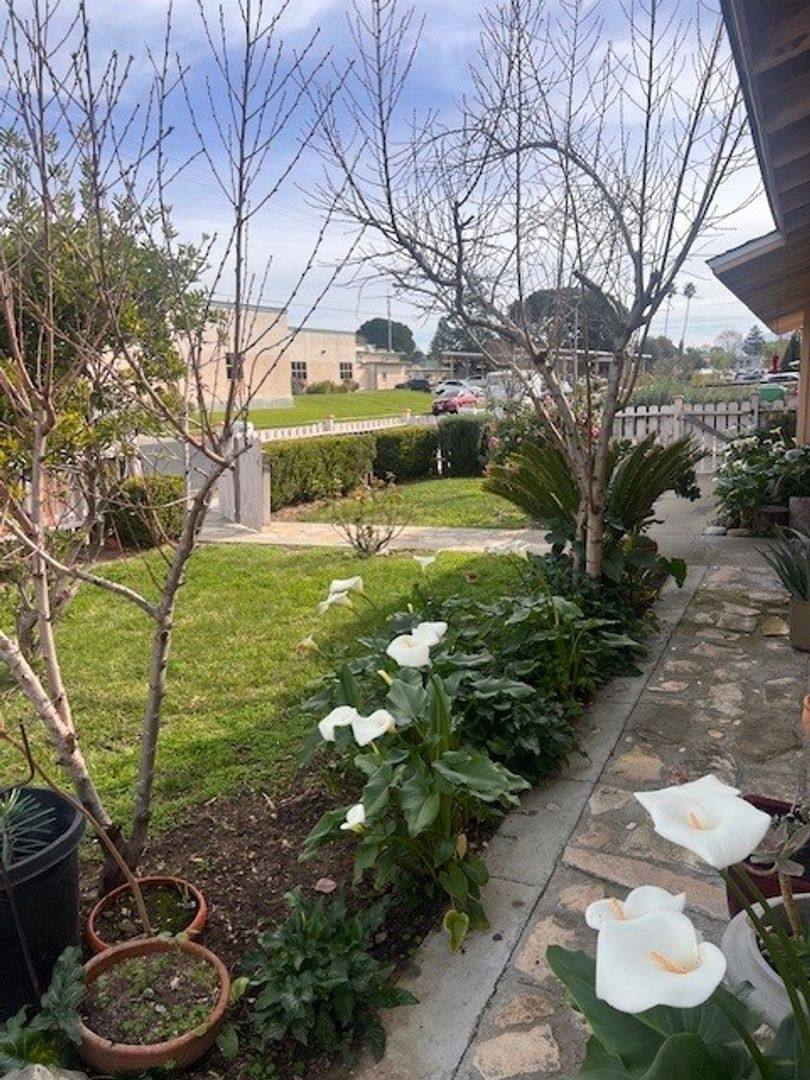 House for rent at 348 Second St, Buellton, CA 93427